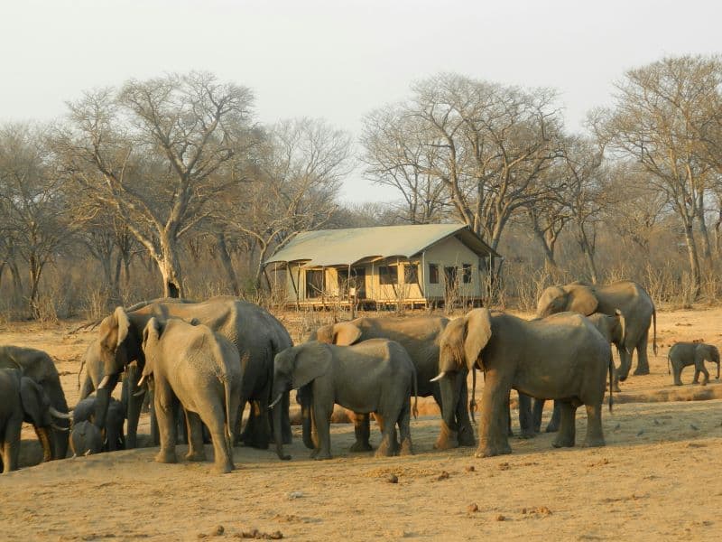 Wild Dreams - Talek River Camp